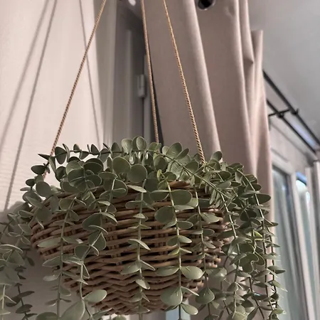 Apartamento Le Cocon Des Bords De Marne Paris